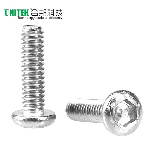 盤頭內(nèi)六角防盜機螺絲